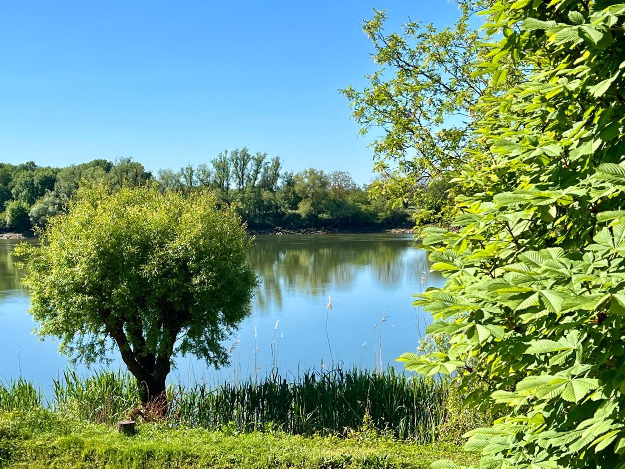 La Villa Du Fleuve Quinsac  Esterno foto